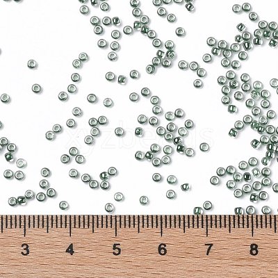 TOHO Round Seed Beads SEED-TR11-1070-1