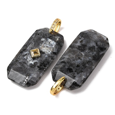 Natural Labradorite Pendants GG-CBA51ED-05G-02-1