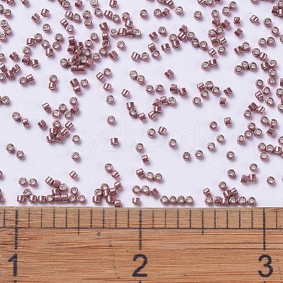 MIYUKI Delica Beads X-SEED-J020-DB0423-1