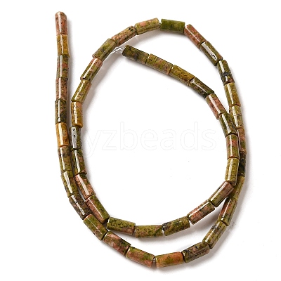 Natural Unakite Beads Strands G-B091-A02-01-1
