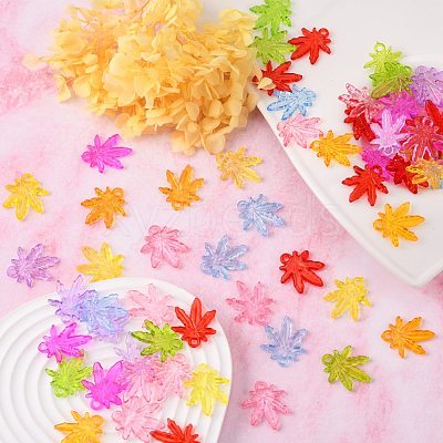 Transparent Acrylic Beads X-PL711Y-1