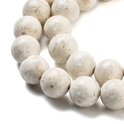 Natural Fossil Beads Strands G-H026-02B-1