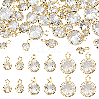 50Pcs Alloy Micro Pave Cubic Zirconia Charms FIND-PH0023-64G-1