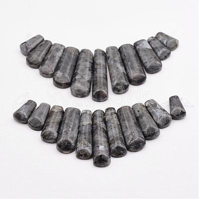 Natural Larvikite Beads Strands G-P298-J01-1