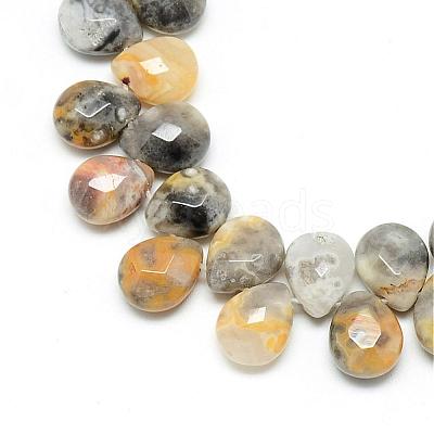 Natural Crazy Lace Agate Gemstone Beads Strands G-T006-10-1