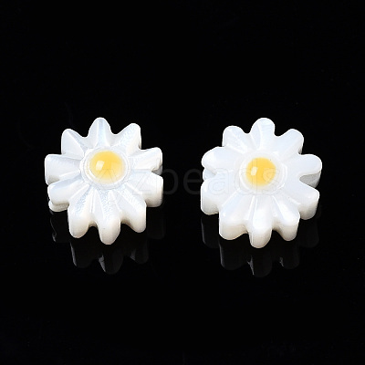 Natural Freshwater Shell Beads SHEL-N003-20A-01-1
