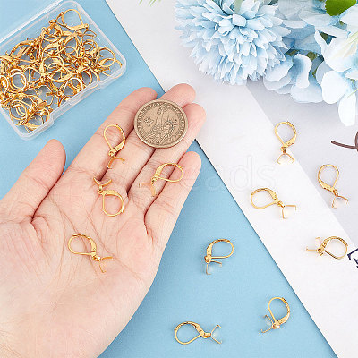 50Pcs 304 Stainless Steel Leverback Earring Findings with Pendant Bails STAS-BBC0001-52G-1
