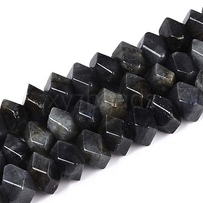 Natural Larvikite Beads Strands G-D091-A29-1