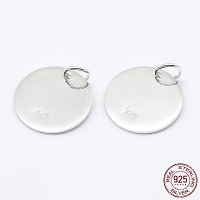 925 Sterling Silver Pendants STER-K167-006C-S-1