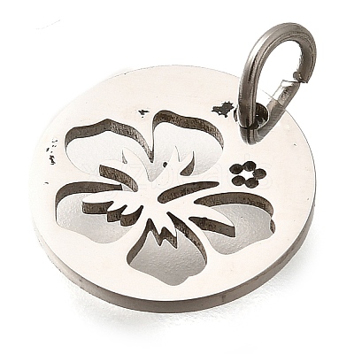 304 Stainless Steel Charms STAS-Z119-14P-1