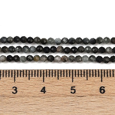 Natural Eagle Eye Stone Beads Strands G-RM250101-E6-1