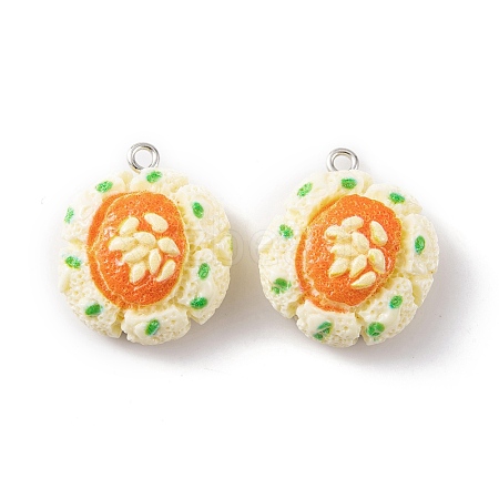 Resin Imitation Food Pendants RESI-U005-01F-1