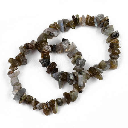 Unisex Chip Natural Labradorite Beaded Stretch Bracelets BJEW-S143-19-1