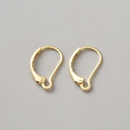 Brass Hoop Earring Findings DIY-WH0888-510G-1