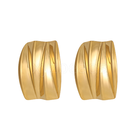 304 Stainless Steel Stud Earrings STAS-OY009-13G-1