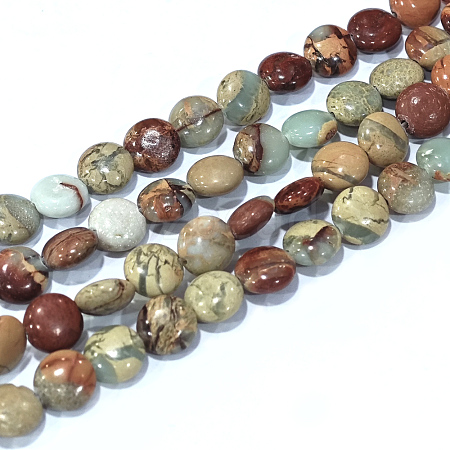 Natural Aqua Terra Jasper Beads Strands G-F612-01A-1