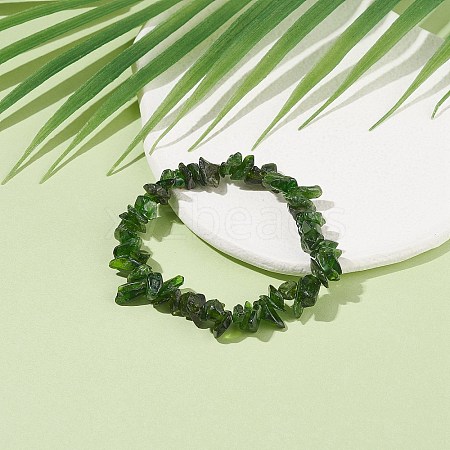 Natural Diopside Chips Beaded Stretch Bracelet X-BJEW-JB08081-1