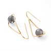 Natural Labradorite Dangle Earrings EJEW-JE03595-03-3