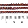 Natural Garnet Beads Strands G-H079-A01-01A-5