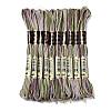 10 Skeins 6-Ply Polyester Embroidery Floss OCOR-K006-A78-1