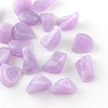 Chip Imitation Gemstone Acrylic Beads OACR-R021-17-1