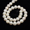 Natural Cultured Freshwater Pearl Beads Strands PEAR-L001-B-07-01-3