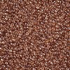 12/0 Grade A Round Glass Seed Beads SEED-Q011-F501-2