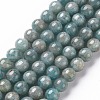 Natural Amazonite Beads Strands X-G-S333-6mm-005-1