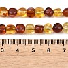 Two Tone Natural Amber Beads Strands G-K426-A03-05-5
