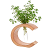Glass Hydroponic Vase AJEW-WH0709-388A-1
