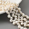 Natural Cultured Freshwater Pearl Beads Strands PEAR-A006-21-2