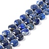 Natural Lapis Lazuli Beads Strands G-N342-16-1