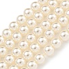 Glass Pearl Beads Strands HY-G002-01B-02-1