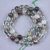 Natural Green Lodolite Quartz/Garden Quartz Beads Strands G-S333-10mm-036-2