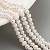 Natural Cultured Freshwater Pearl Beads Strands PEAR-C003-05B-2