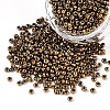 12/0 Glass Seed Beads SEED-A009-2mm-601-2