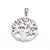 Non-Tarnish 304 Stainless Steel Pendants STAS-K162-102P-2