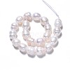 Natural Cultured Freshwater Pearl Beads Strands PEAR-N012-07C-2