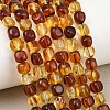 Two Tone Natural Amber Beads Strands G-K426-A03-05-1