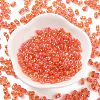 Glass Seed Beads SEED-A033-02A-01-2