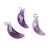 Natural Amethyst Pendants G-L614-D05-P05-1