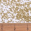 MIYUKI Delica Beads SEED-JP0008-DB0410-4