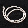 Natural Crazy Lace Agate Bead Strands X-G-D840-55-4mm-2