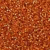 Cylinder Seed Beads SEED-H001-G10-4