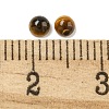 Natural Tiger Eye Cabochons G-Q173-01A-13-3