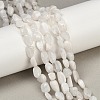 Natural Rainbow Moonstone Beads Strands G-G018-48-01-1