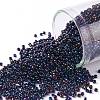 TOHO Round Seed Beads SEED-JPTR15-0082-1