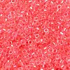 Glass Seed Beads SEED-S042-13A-07-3