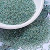 MIYUKI Round Rocailles Beads SEED-X0054-RR0277-4
