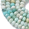 Natural Flower Amazonite Beads Strands G-L651-B02-4x3mm-4